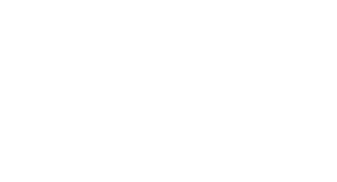 realdolmen